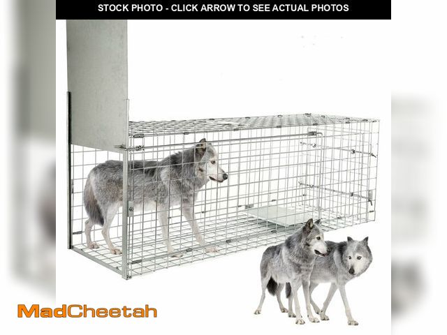 Lot 74-12571161 - 57Ã¢â¬Â Collapsible Large Live Animal Trap, Easy to Set and Release Live Animal Traps for Dogs, Fo...