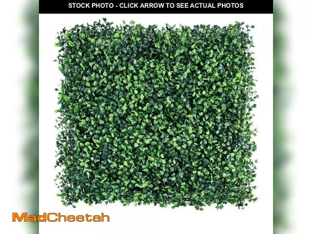 Lot 74-12531192 - Unbranded Artificial Boxwood Panels Hedges 12-Piece 20 in. x 20 in. Boxwood Hedge Grass Wall Backdro...