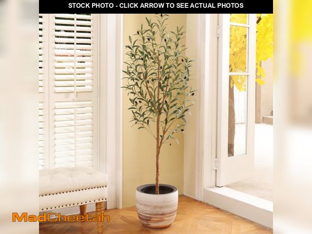 Lot 74-12480361 - DR.Planzen Exquisite Olive Tree 5 ft Indoor Outdoor Artificial, Tall Faux Olive Tree in Black Plasti...