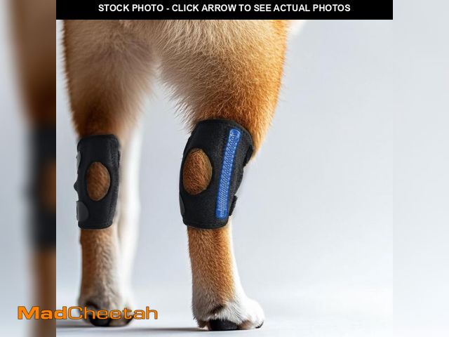 Lot 74-12125824 - Lushnessu Dog Leg Brace for Rear and Front Leg, Hock &amp; Ankle Support, Dog Knee Brace for Torn AC...