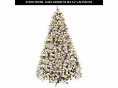 Lot 74-12679165 - undefined