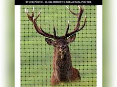 Lot 74-13121254 - undefined