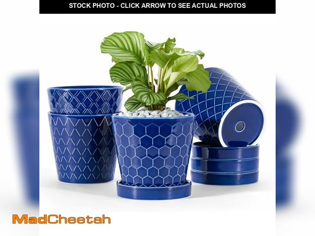 Lot 74-12451666 - BUYMAX Ceramic Plant Pots Ã¢â¬â5 inch Indoor Flower Pot with Drainage Hole and Ceramic Tray - Gar...