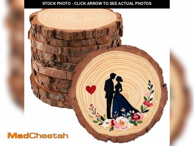 Lot 74-14267328 - FSWCCK 10 Pack Nature Unfinished Round Wood Slices, 7-7.8 Inches Wooden Circle, Large Wood Slabs for...