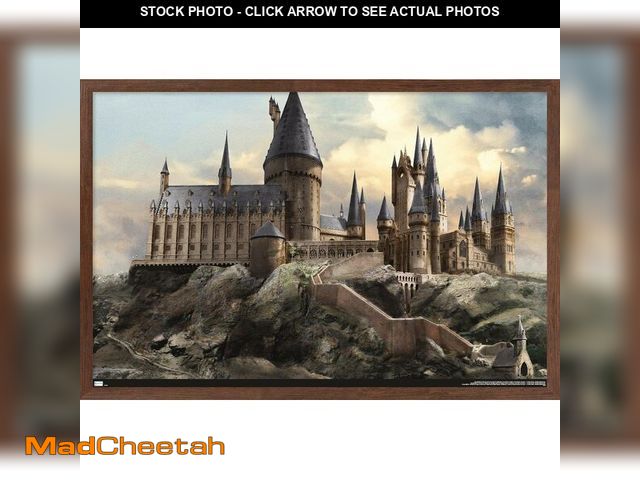 Lot 74-12664741 - (MISSING FRAME) Trends International The Wizarding World: Harry Potter - Hogwarts at Sunrise Wall Po...