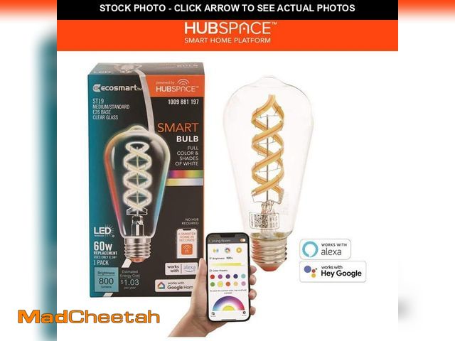 Lot 74-12853374 - EcoSmart 60-Watt Equivalent Smart ST-19 Clear Color Changing CEC LED Light Bulb with Voice Control (...