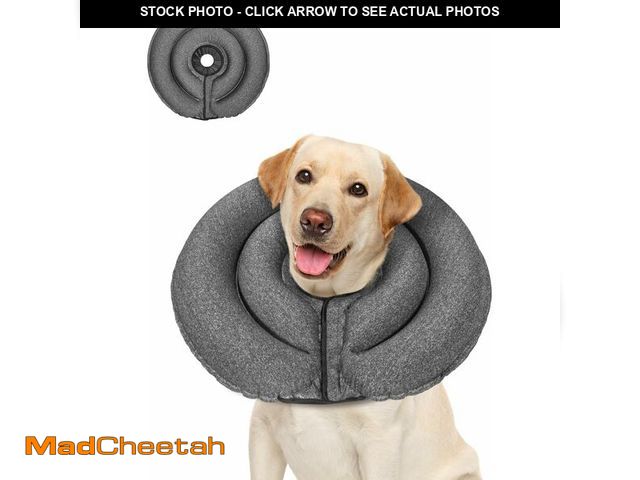 Lot 74-13710139 - MIDOG Dog Cone, MD-295-Gray-XL-1-2025-12-17 - UNUSED