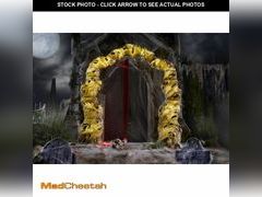 Lot 74-12850369 - undefined