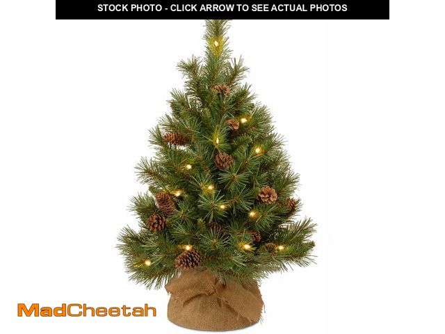 Lot 74-13041567 - National Tree Company 3 ft Pre-Lit Mini Artificial Christmas Tree, Pinecones, 35 Clear LED Lights, 1...