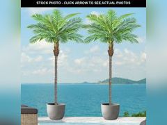 Lot 74-12786643 - undefined