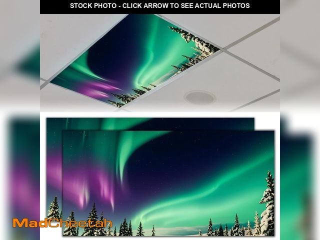 Lot 74-12312147 - REAIJUNPIN 2PCS Fluorescent Light Covers for Classroom, Magnetic Galaxy Light Filter, Ceiling Decora...