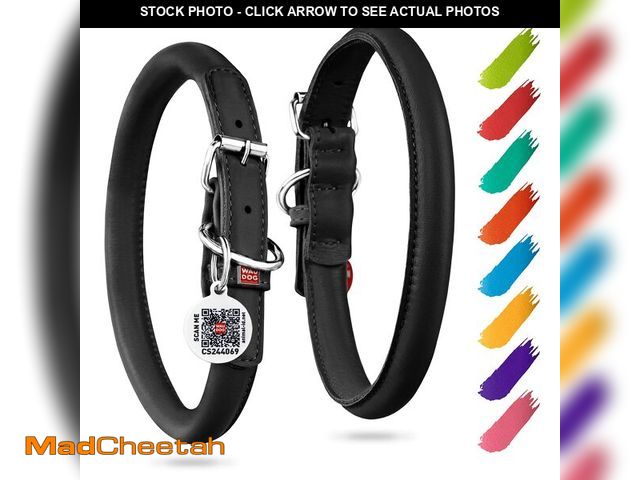 Lot 74-12718767 - WAUDOG Ultra Soft Rolled Leather Collar - Soft Padded for Small, Medium, and Large Dogs - Puppy Coll...