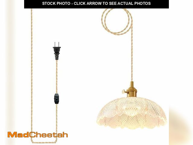 Lot 74-14383797 - Oyisen Hanging Lamp Plug in,Gold Braided Adjustable 13Ft Cord Plug in Pendant Light 9.8 Inch Thicken...