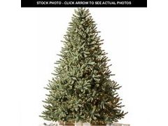 Lot 74-12899493 - undefined