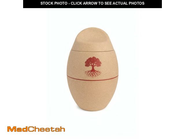 Lot 74-14269683 - LUMBAA Eco Urn - Biodegradable Urn for Human or Pet Ashes - UNUSED