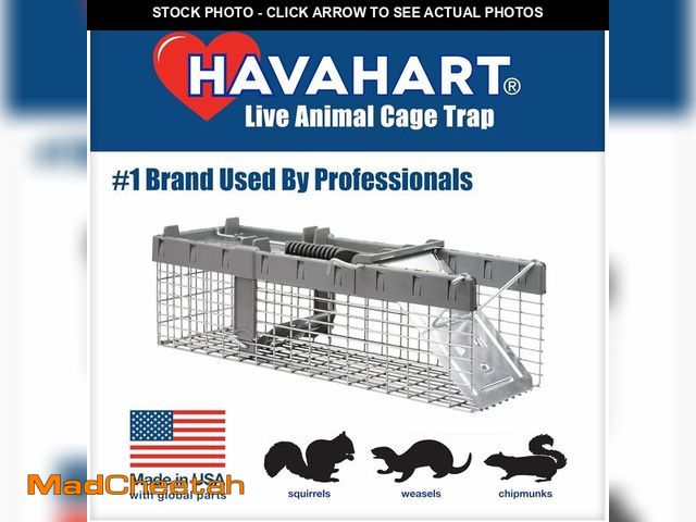 Lot 74-14305631 - Havahart Small 1-Door Humane Live Catch and Release Animal Trap for Squirrels, Weasels, Chipmunks, a...