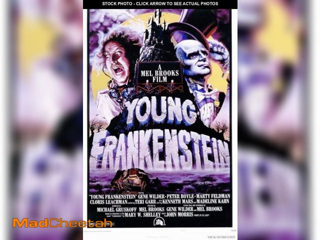 Lot 74-12400295 - Young Frankenstein Movie Poster Print (27 x 40) - UNUSED