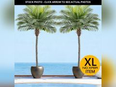 Lot 74-13281564 - undefined