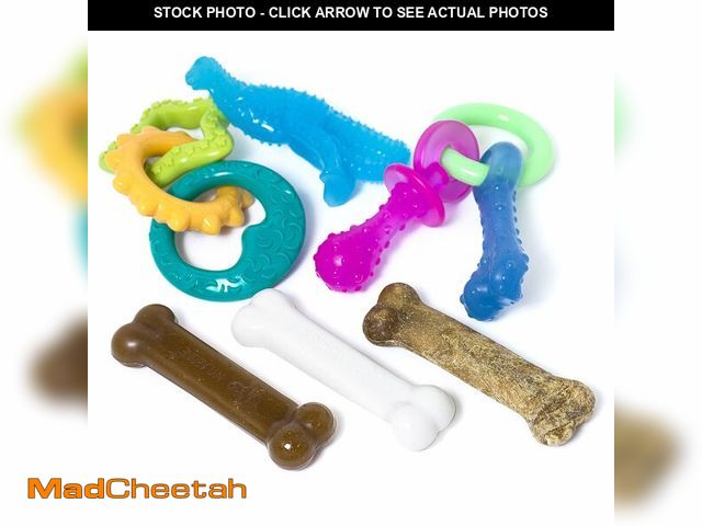 Lot 74-12440312 - Nylabone New Puppy Starter Kit, 5 Chew Toys and 1 Natural Treat for Puppies, Multi Color, Bacon &amp...
