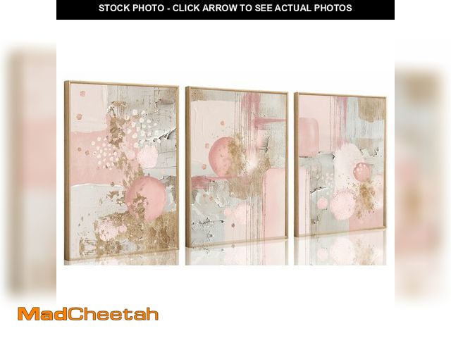 Lot 74-13539460 - 3Pcs Pink and Gold Canvas Wall Art Abstract Posters Print Geometric Pictures Decor for Living Room B...