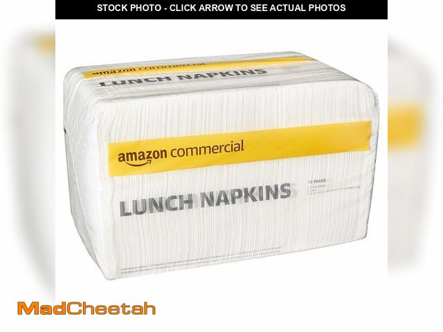 Lot 74-13382147 - AmazonCommercial 1-Ply White Lunch Napkins (SOFI-067)|Bulk |Disposable Paper Napkins |Lunch Napkins ...