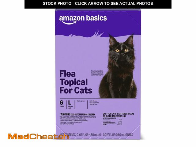 Lot 74-14423789 - Basics Preventative Topical Flea Treatment and Prevention for Large Cats (Over 9 Pounds), Kills Flea...
