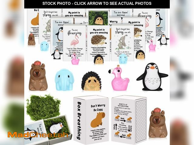 Lot 74-13948527 - Cinnvoice 25 Set Bulk Gifts for Mothers Day Teacher Appreciation Gifts Nurse Week Employee Coworker ...
