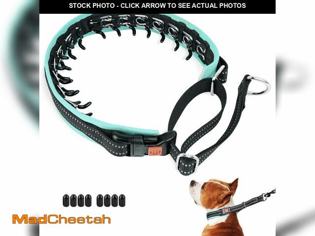 Lot 74-14336973 - Mayerzon Martingale No Pull Collar for Medium Large Dogs, Patented Anti Pull Dog Collar with Buckle ...
