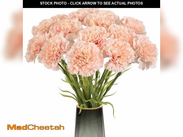 Lot 74-13547988 - Rzoukler Light Pink Carnations Fake Flowers 15PCS Silk Carnations Artificial Flowers 20.47" Long Ste...
