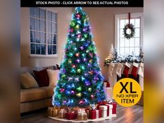 Lot 74-13126423 - undefined