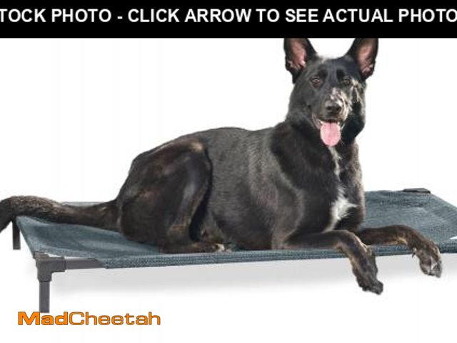Lot 74-12423102 - Coolaroo Cooling Elevated Dog Bed PRO with Heatshield  Large  Fits in 48in Crate  Easy Assembly  Pac...