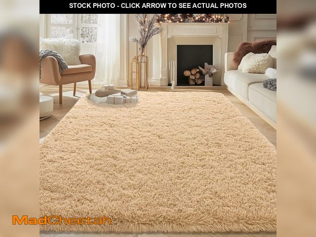 Lot 74-13583371 - NSZONC Large Shag Area Rugs 6x9, Tie-Dyed Fluffy Plush Rugs for Living Room, Soft Fuzzy Furry Rugs f...