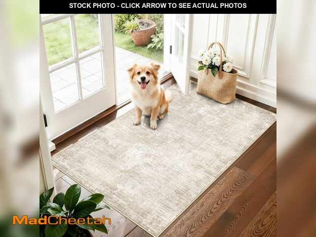 Lot 74-14154681 - Washable 3x4 Hallway Runner Rug: Abstract Soft Entryway Doormat Water-Resistan Bathroom Kitchen Carp...