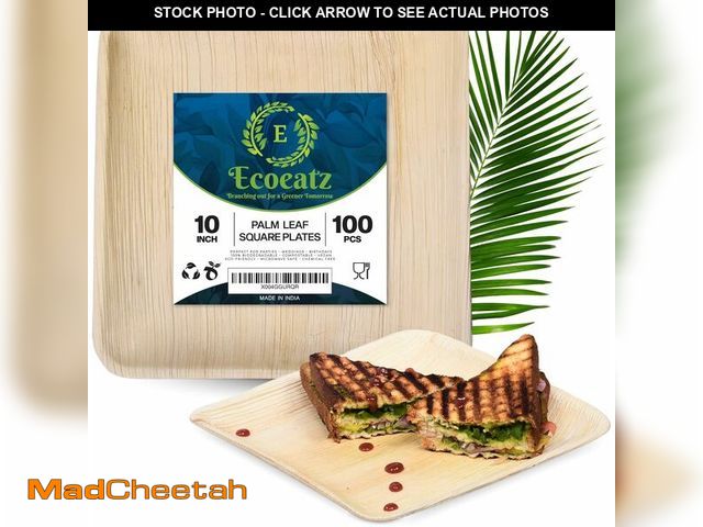 Lot 74-13927379 - Palm Leaf Plates 10 Inch - 100 Pack - Heavy Duty Bamboo Square Compostable Disposable Bulk Dinner Pl...