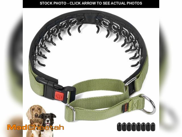 Lot 74-14299566 - Mayerzon No Pull Dog Collar, Patented Martingale Collar for Small Medium Large Dogs with Buckle and ...