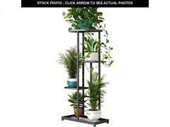 Lot 74-11907959 - undefined