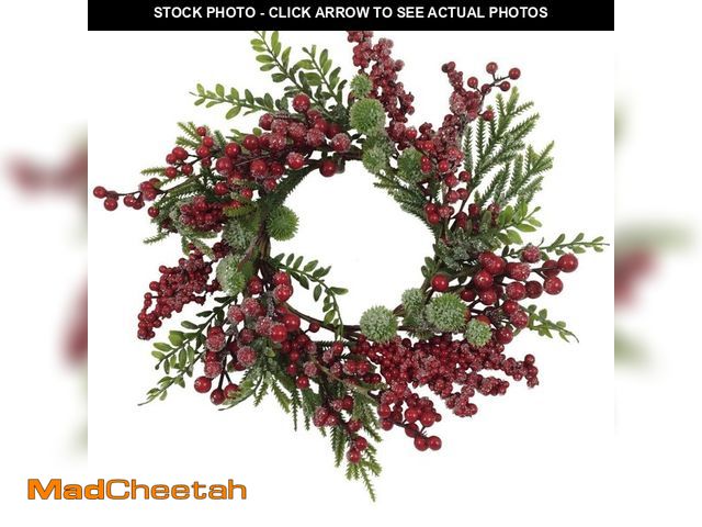 Lot 74-12682325 - Northlight 16 in. Red Frosted Berry and Pine Artificial Christmas Wreath - UNUSED