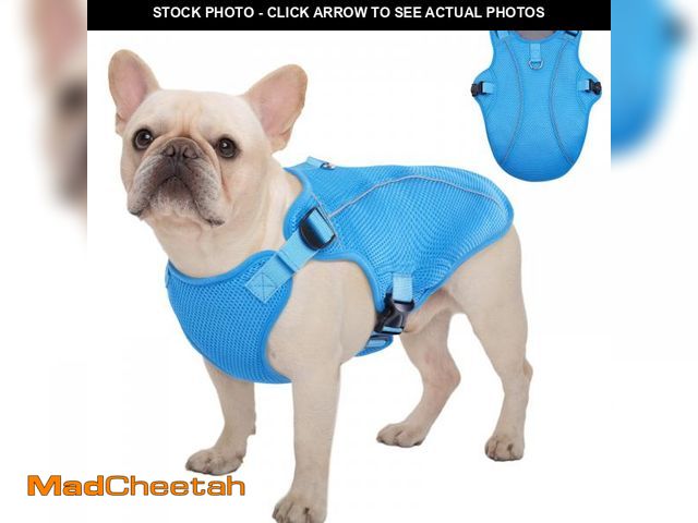 Lot 74-12116973 - Kuoser Dog Cooling Vest Harness, Small Puppy Cooler Jacket with Adjustable Buckle for Outdoor Beach,...
