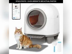 Lot 74-12723164 - undefined