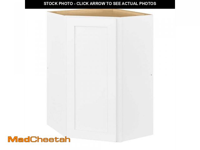 Lot 74-12470891 - Avondale 24 in. W X 24 in. D X 36 in. H Ready to Assemble Plywood Shaker Diagonal Corner Kitchen Cab...