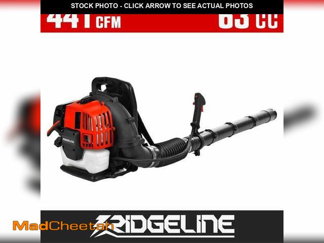 Lot 74-14280252 - RIDGELINE 43 cc 181 mph 441 CFM 2-Stroke Backpack Gas Powered Leaf Blower with Ergonomic Design and ...