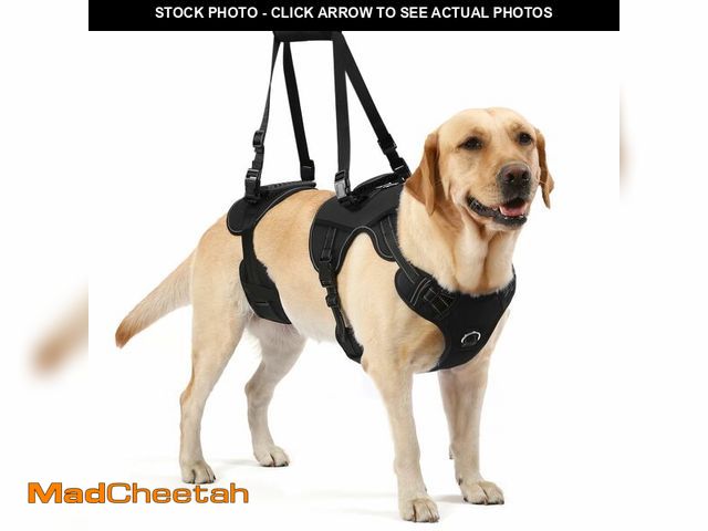 Lot 74-12704219 - NOYAL Dog Lift Harness for Senior &amp; Injured Pets Ã¢â¬â Full-Body Support Sling with Breathabl...
