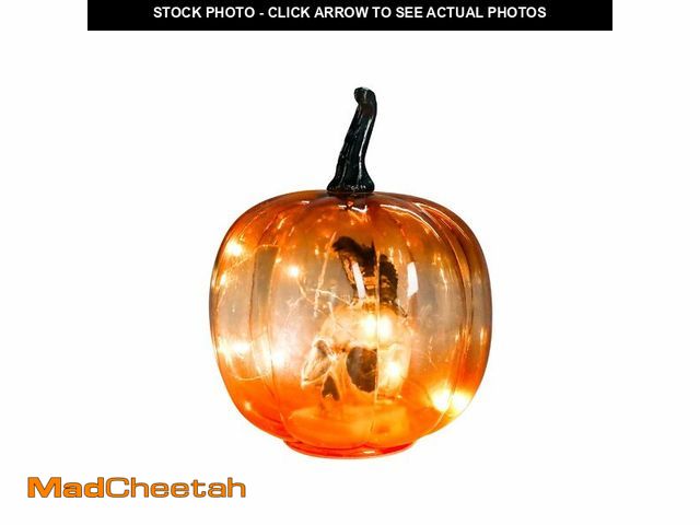 Lot 74-12710548 - Chonsun Halloween Pumpkin Lights Skull Crow Tabletop Decorations 8.3 Inch Indoor Outdoor Halloween P...