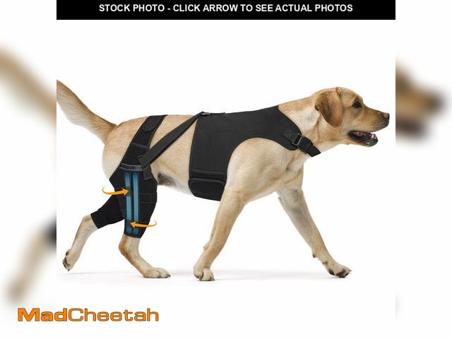 Lot 74-13571843 - Marnonsis Dog Knee Brace for Torn Acl Hind Leg, Adjustable for Back Leg with 4 Stabilizers, Hip Supp...
