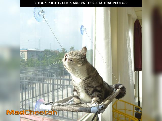 Lot 74-14212336 - PEFUNY Cat Window Hammock Ã¢â¬â Mess-Free Waterproof Cats Window Perch for Large Cats, Strong Suc...