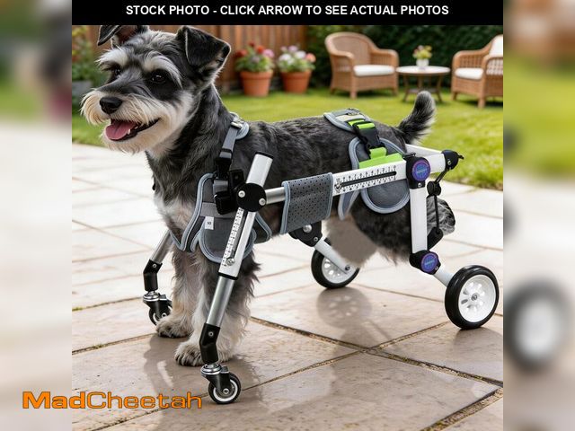 Lot 74-14210761 - LetPetRun Dog Wheelchair 4 Wheels Adjustable, Full Body Support Dog Cart for Front &amp; Rear Legs, ...
