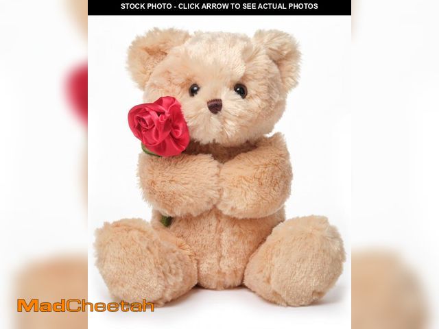 Lot 74-11547052 - Bearington Remington The Teddy Bear, 9.5 Inch Valentine's Day Stuffed Animal, Ideal for Valentine's ...