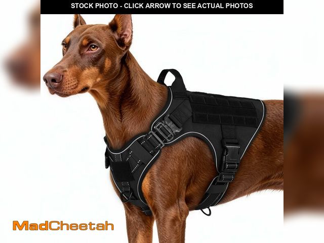 Lot 74-13573780 - rabbitgoo Tactical Dog Harness for Large Dogs, No Pull Upgraded Reflective Heavy Duty Molle Vest wit...