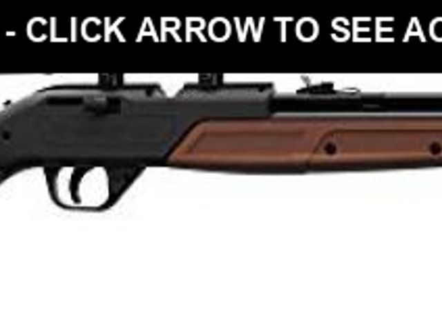 Lot 74-12398932 - Crosman 760X Pump Master .177-Caliber Pellet/BB Air Rifle With Scope - UNUSED