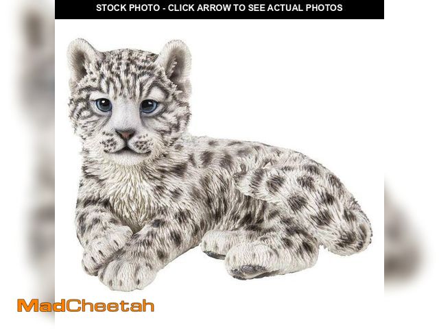 Lot 74-12746591 - HI-LINE GIFT LTD. Snow Leopard Cub Statue - UNUSED